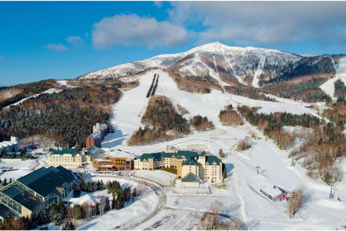 W140 不須日文能力！可與約18個國家的人一起工作的北海道滑雪渡假村（北海道）